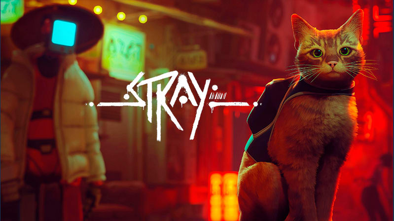 stray